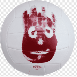 cropped-wilson-volleyball.png