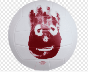 wilson-volleyball